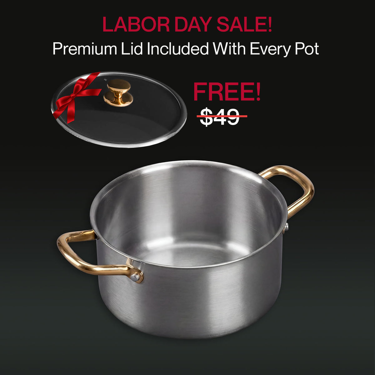 Taima® Pure Titanium Nutri Pot Pro
